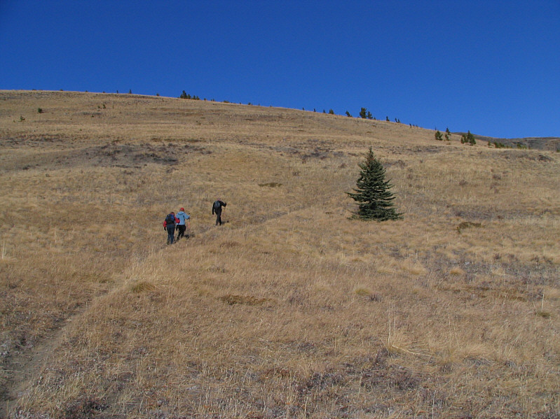 It doesn't stay steep for long though!