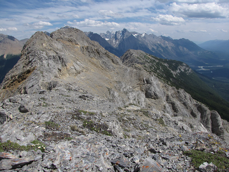 It's a bloody long way back to the trail head from here...