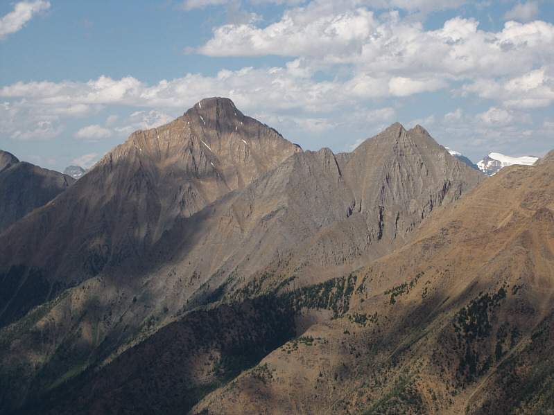 Might be worth exploring someday...