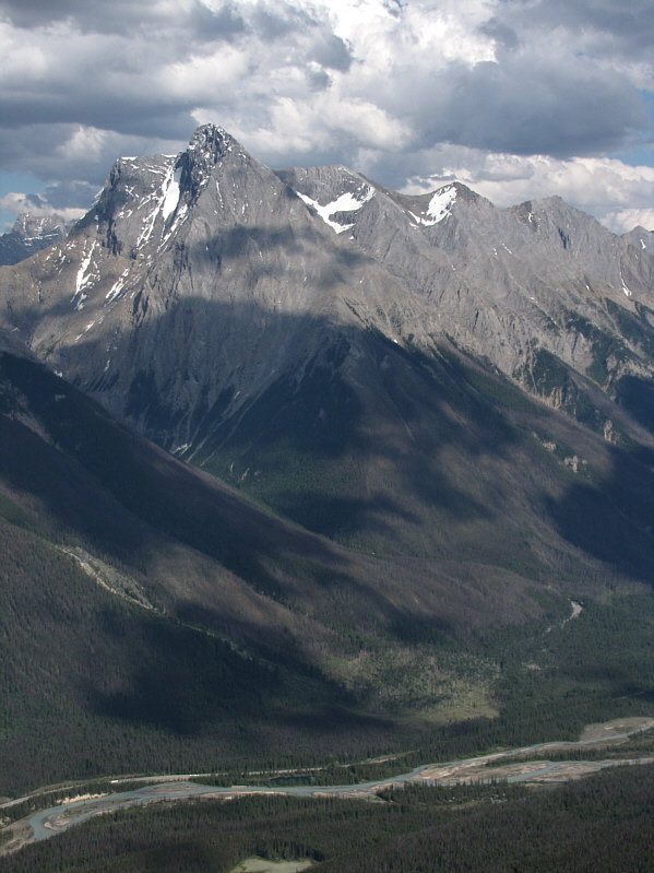 Pretty much sums up my mood at this point!