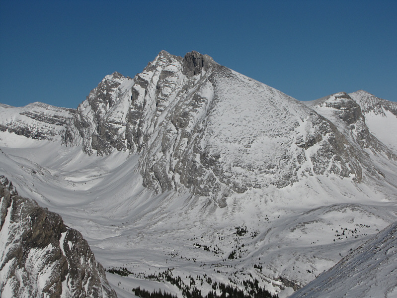 Maybe a ski and scramble trip later this winter?