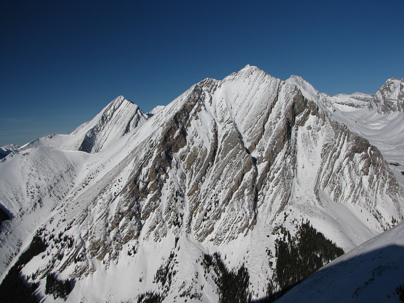 Not for the timid...