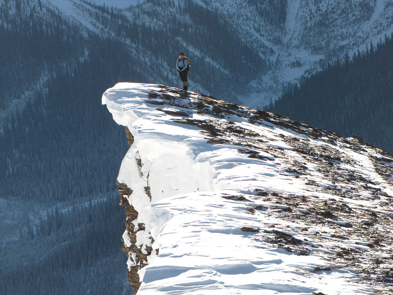 Be careful where you sit down!