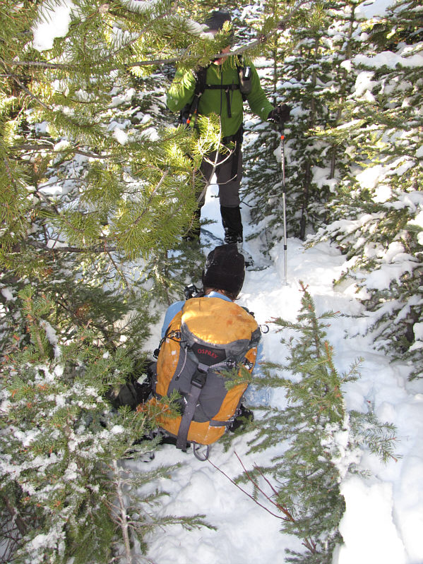 Dinah is my BFF! ;-)