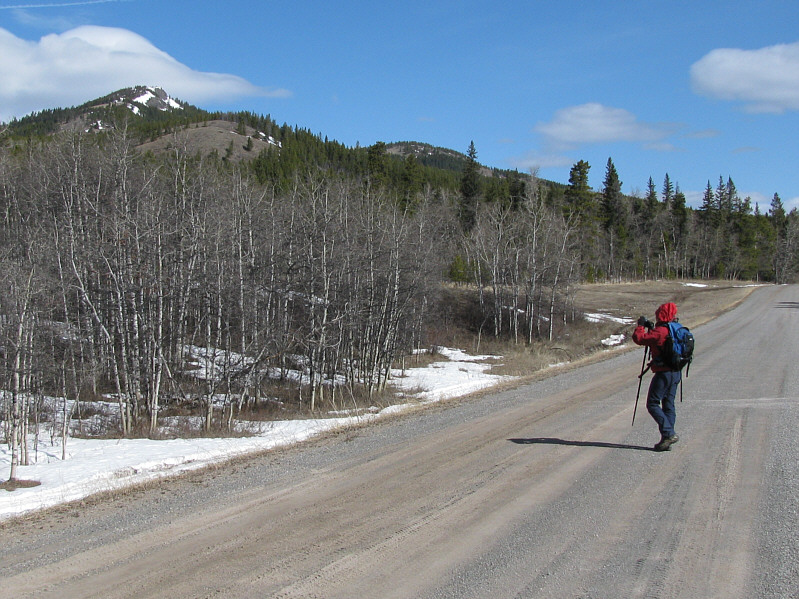 We should have kept walking down the main road for another kilometre to the proper start of the fire road.