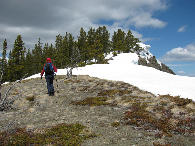 The wind was definitely bone-chilling!