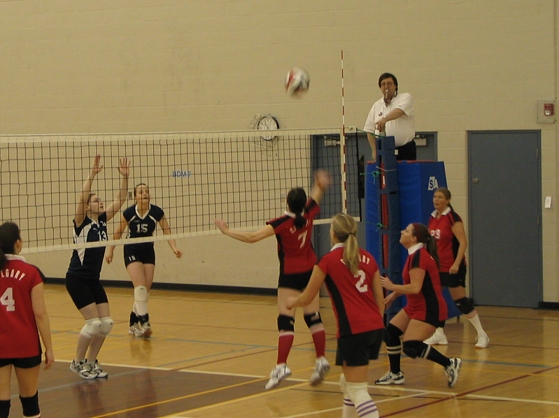 Good cover, Carolyn!