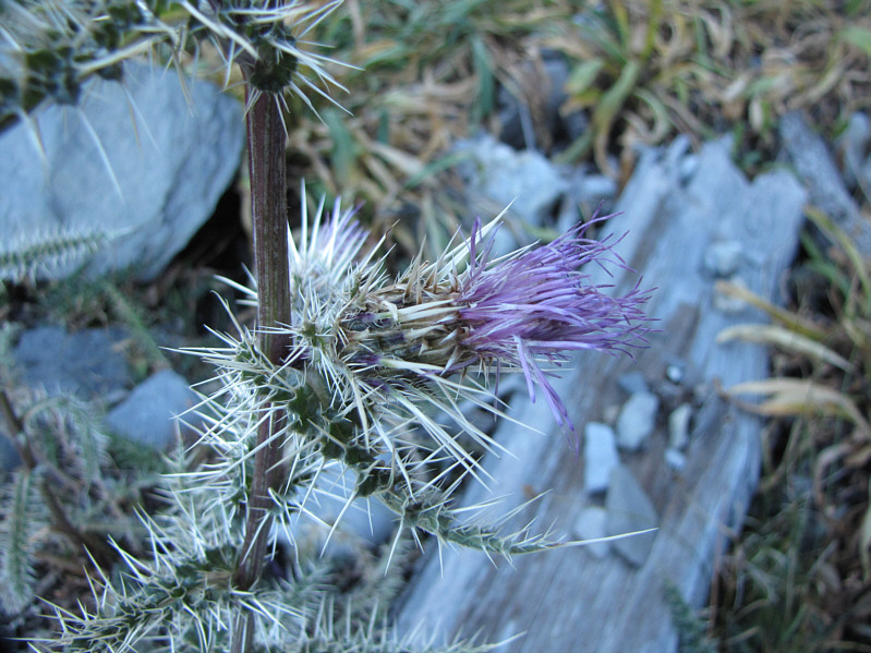 It's painful just looking at them!