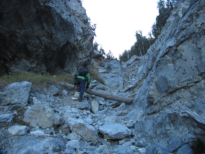 It's longer than you think!