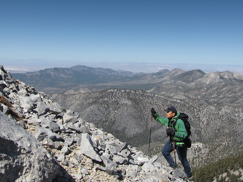 I think that's Mount Stirling in the distance to the left.