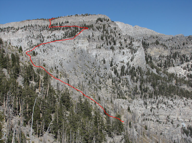 If you're coming from Charleston, don't bother trying to cut through the trees to save elevation loss.  It just ain't worth it!