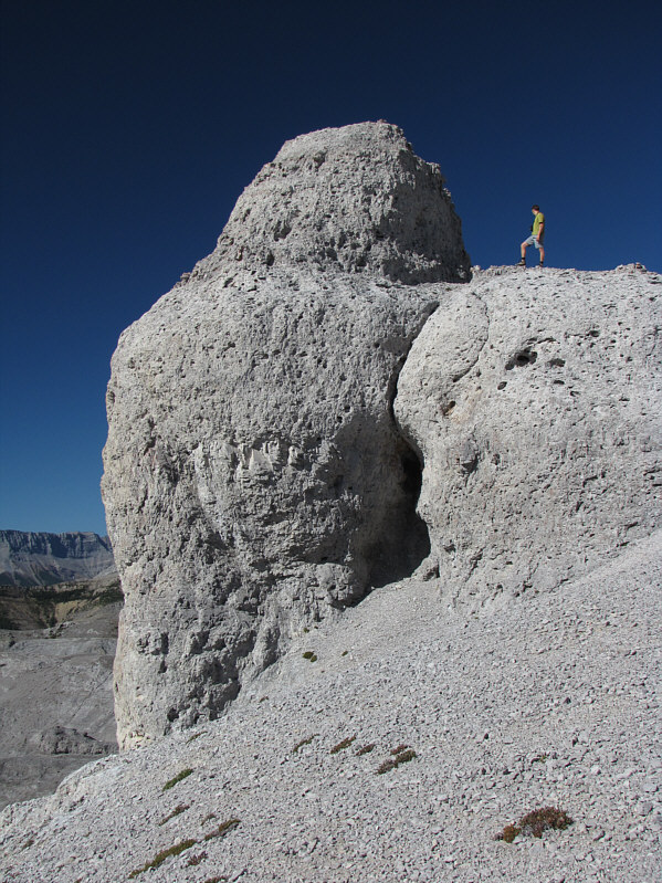 And no, I didn't scramble up this thing either, Dinah, but I should have!