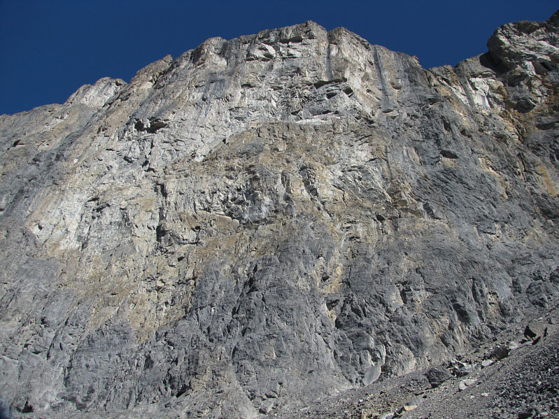 Look up. Look waaaaaaaaay up!