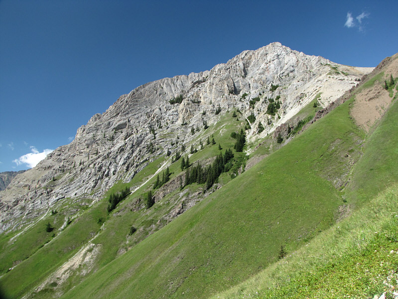 It's easier climbing up these hillsides than traversing them.