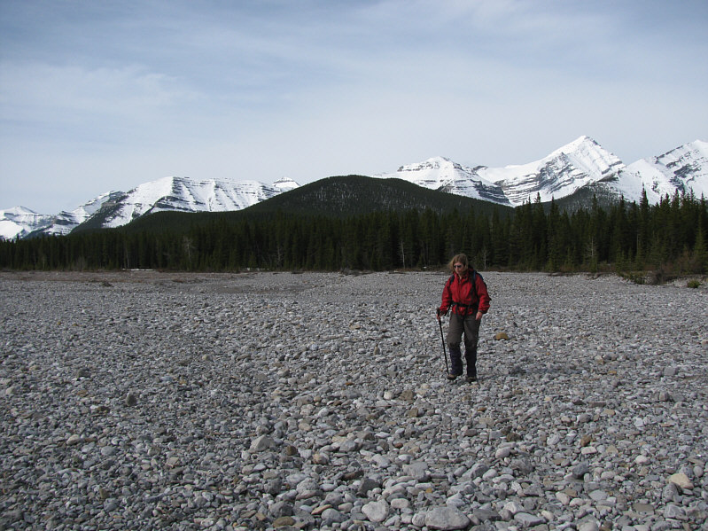 Wish all fords were like this!