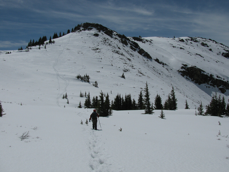Looks like a good toboggan run!