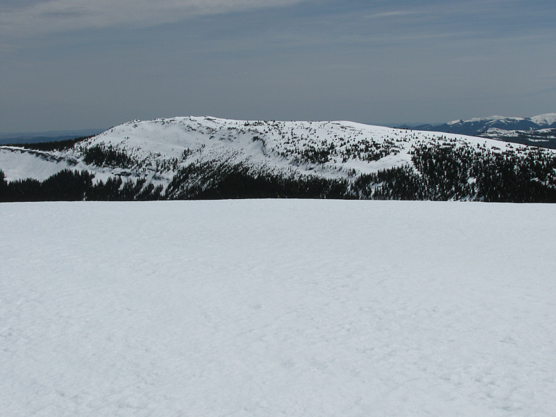 According to Bob Spirko, it's actually 10 metres lower than Old Forgetmenot.