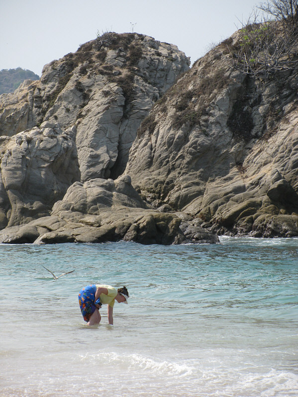 This was a popular spot to see fish in the water.