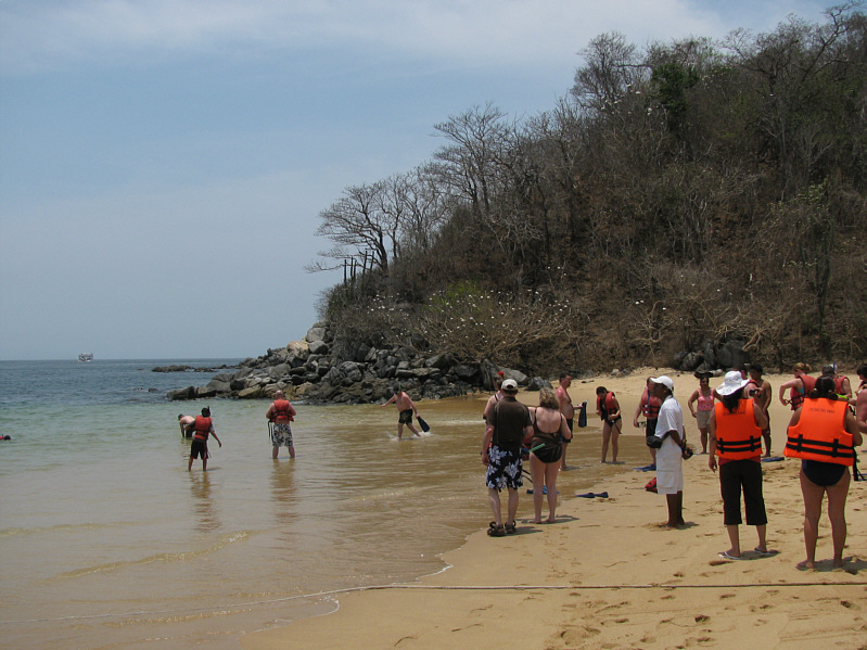 Alright, time for more salt water up the nose!