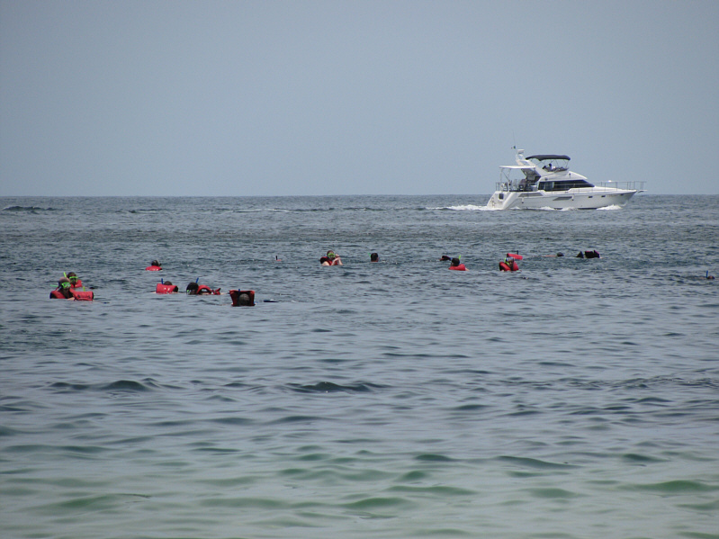 Wonder if sharks frequent this area...