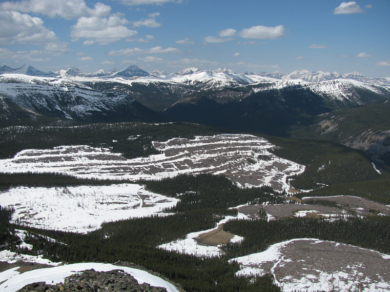 Sadly, a common scene outside the National and Provincial Parks.