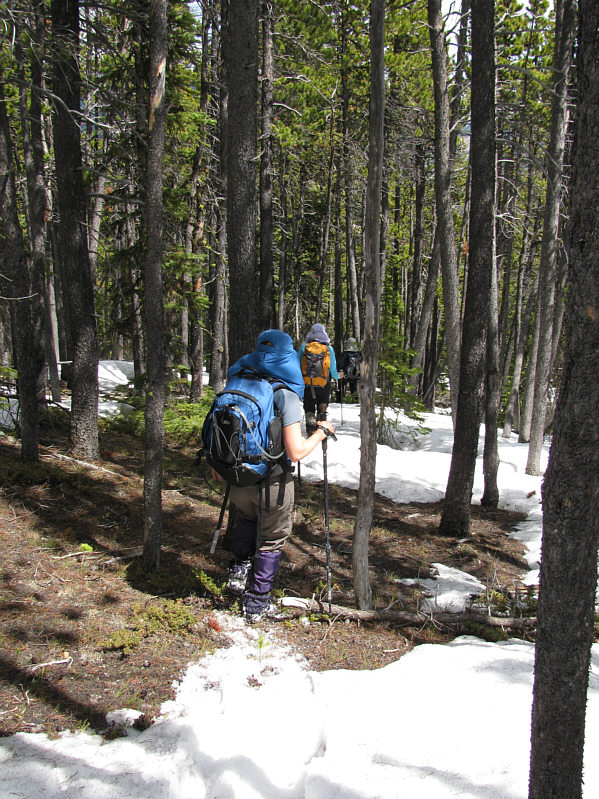 Every so often, we found evidence of a trail being cut.