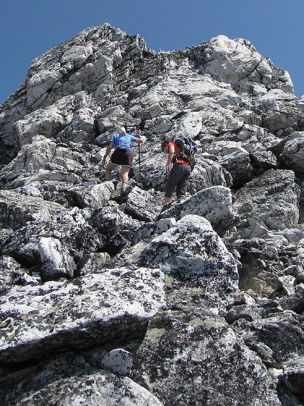 I think the white blocks are known as diorite.