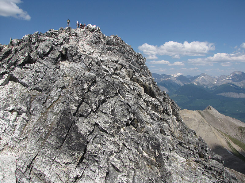 There were 10 people of all ages in their group.