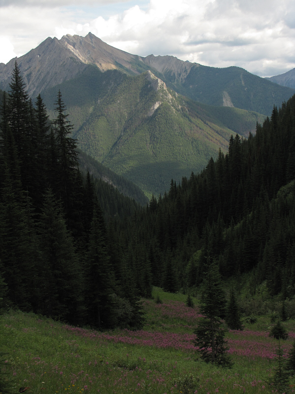 It started to rain here...