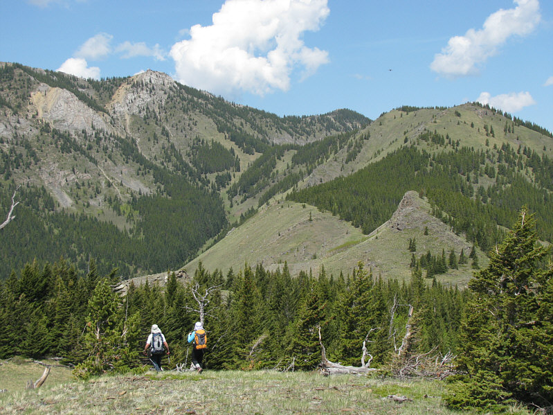 Lots of annoying ups and downs though!