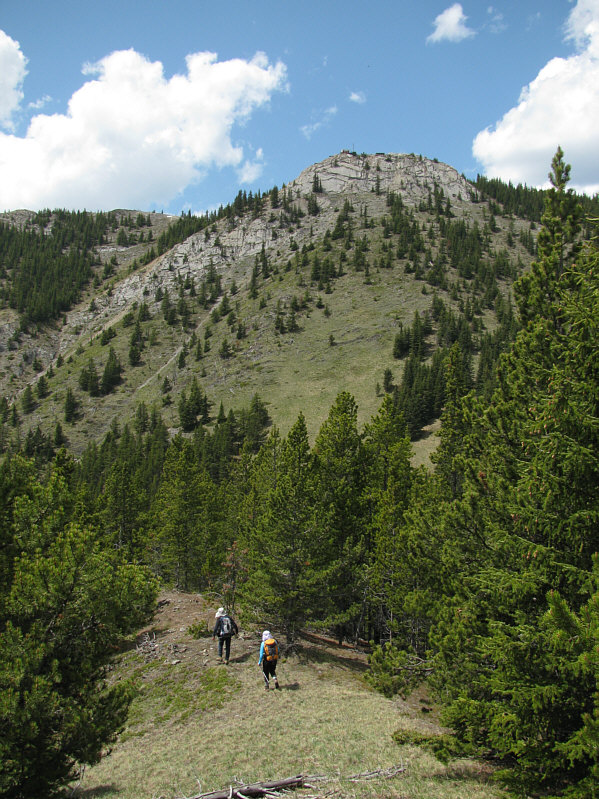 Very steep grunt coming up!