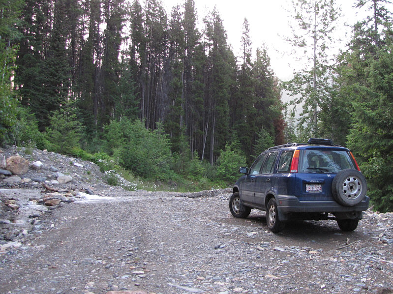 The road was in great shape by BC forestry standards.