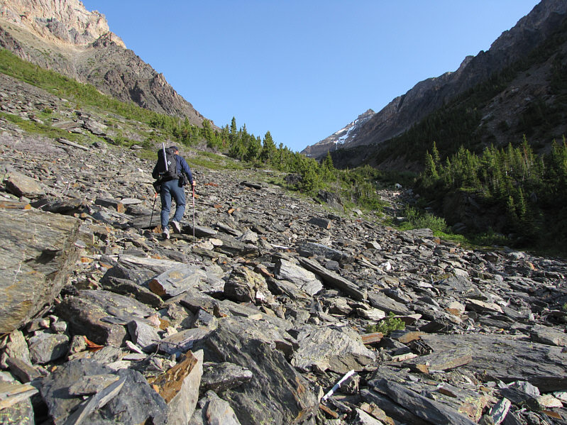 I spotted a coyote here when I entered the basin.