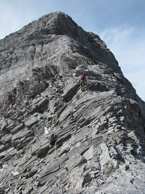 Believe it or not, some of the scrambling was actually fun!