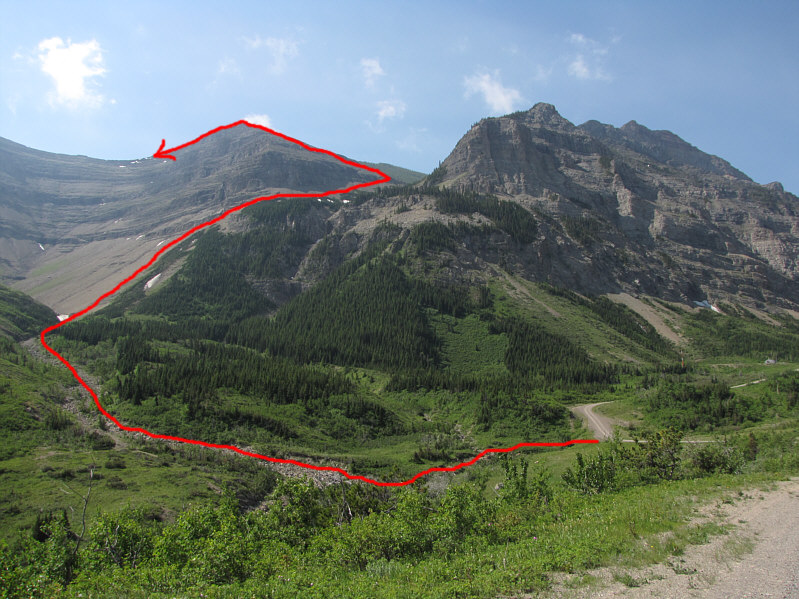 The best thing is there is no bushwhacking!