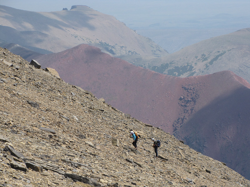 Yawn...I could use some sleep!