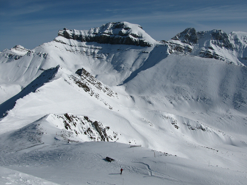 That's Kelly waiting patiently at the bottom of the photo.