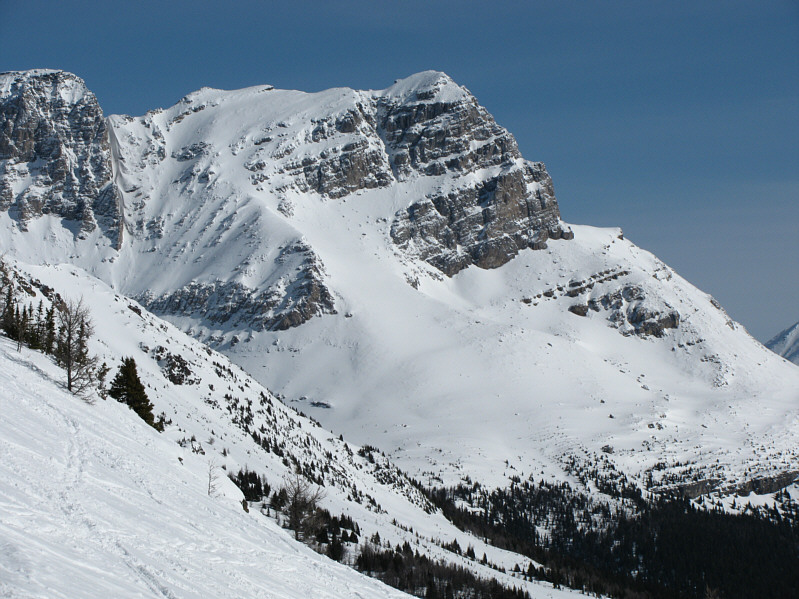 Sigh.  One of my less memorable summits (no views).