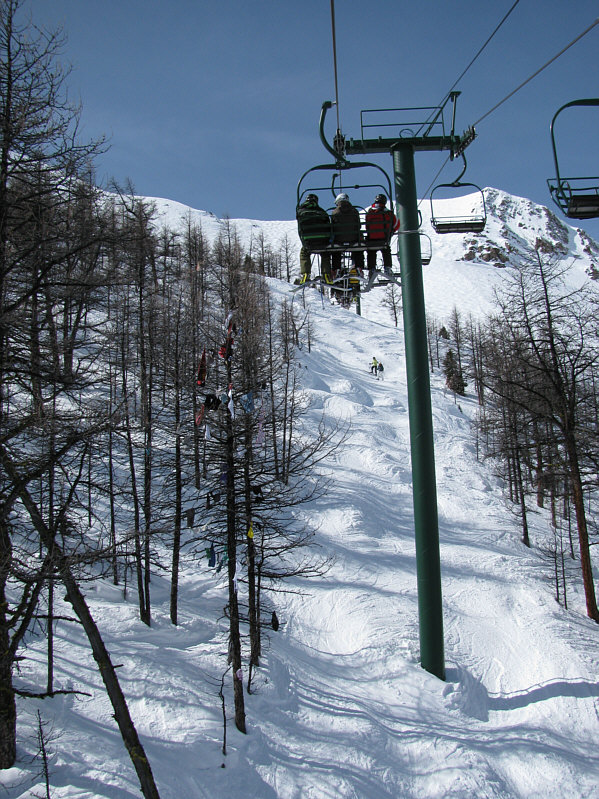 Must look great when the larches turn golden in the Fall!