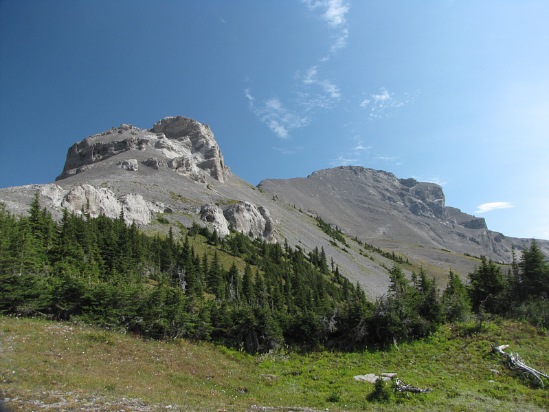 Ugh.  I just want to lie down and sleep right now!