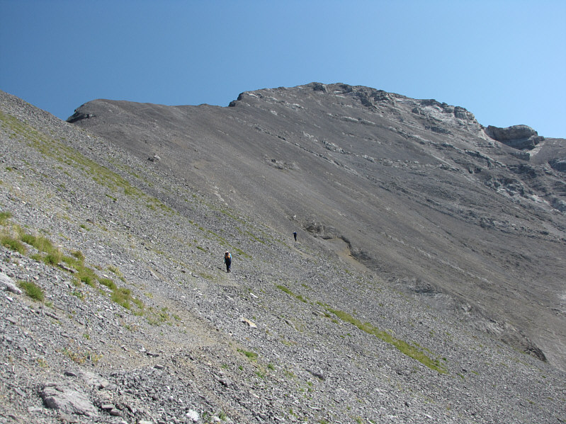 Zzzzzzzzzzzzzzzzzzzzzzzz...