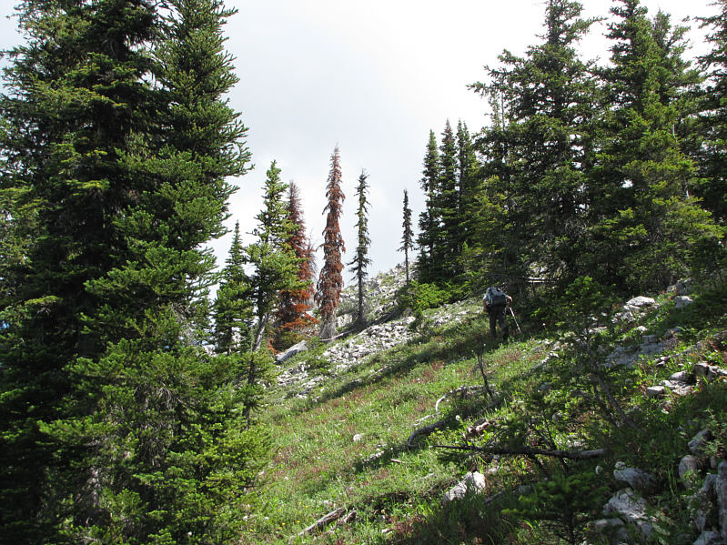 We kept in contact with Dinah on our FRS radios.