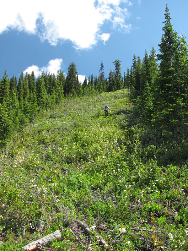 Watch your step here...lotsa nasty surprises underfoot!