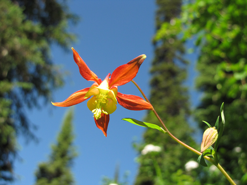 There were lots of these along the trail.