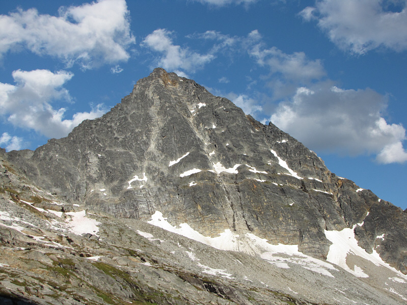 Hmm...looks more like a shark's fin than an eagle!