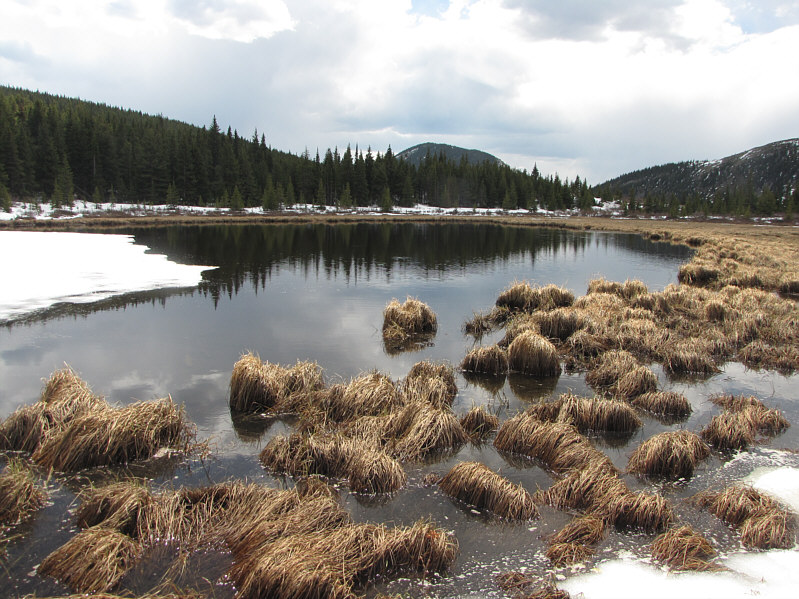 An idyllic spot except for the ATV motors revving just beyond the trees!