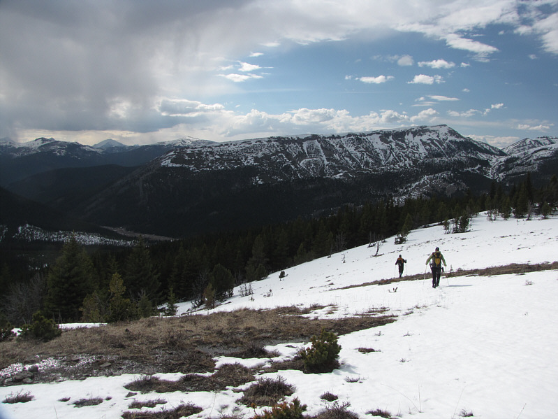 More misery to come in the trees...