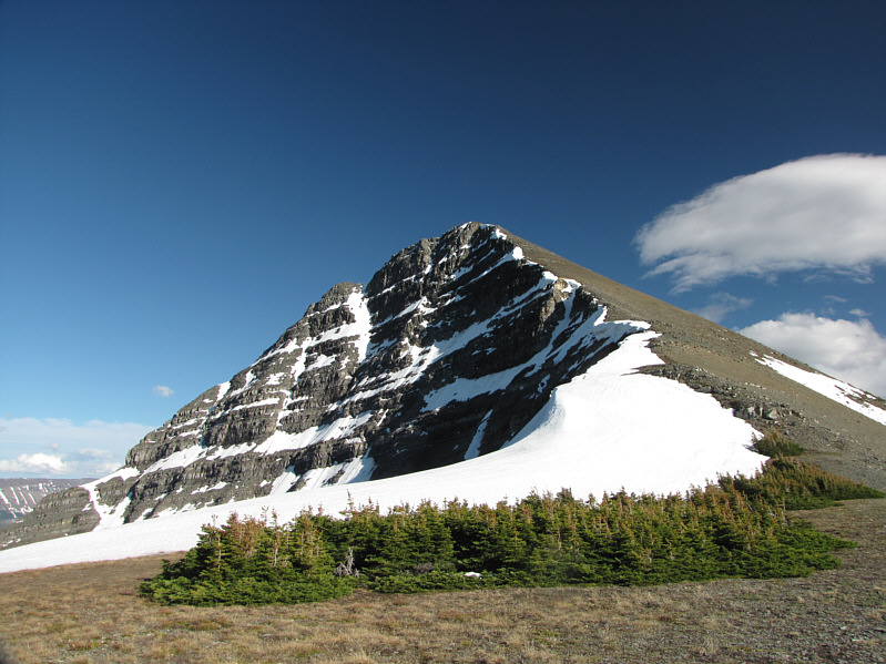 Hmmm...doesn't look that far to the summit...