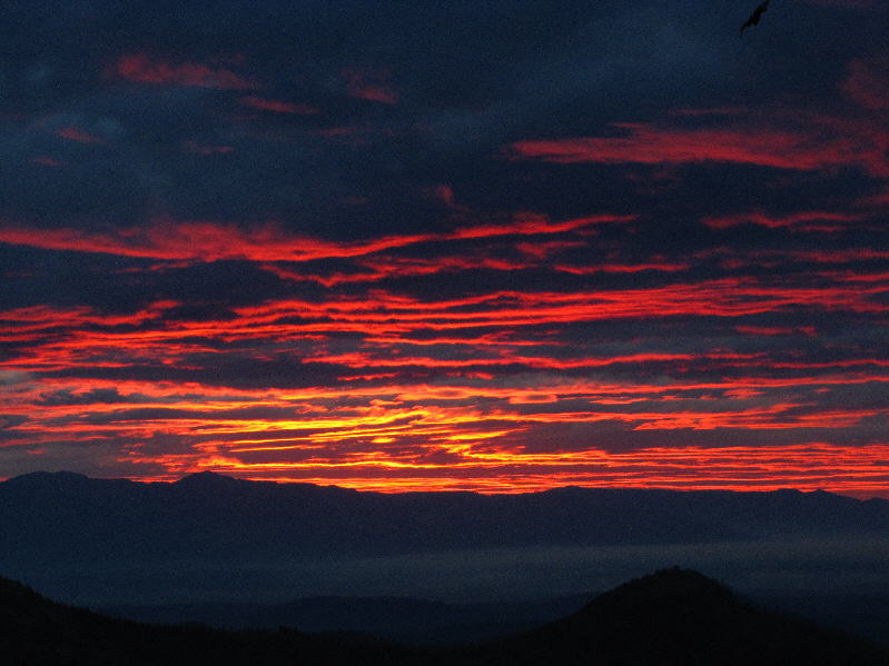 Hopefully that means good weather for tomorrow!