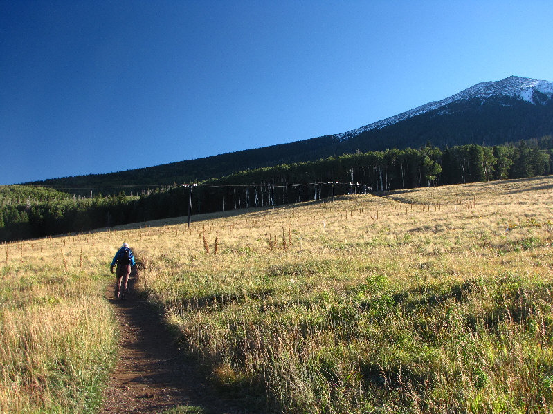 This trail takes a bewilderingly roundabout route at the start.  It's better to look for another good trail further up the wide ski run before heading into the trees.